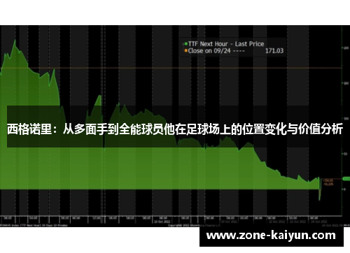 西格诺里:从多面手到全能球员他在足球场上的位置变化与价值分析 西格诺里:从多面手到全能球员他在足球场上的位置变化与价值分析
