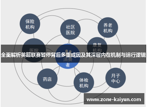 全面解析英超联赛暂停背后多重成因及其深层内在机制与运行逻辑 全面解析英超联赛暂停背后多重成因及其深层内在机制与运行逻辑