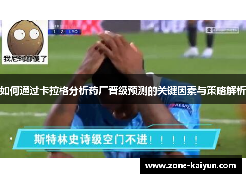 如何通过卡拉格分析药厂晋级预测的关键因素与策略解析 如何通过卡拉格分析药厂晋级预测的关键因素与策略解析